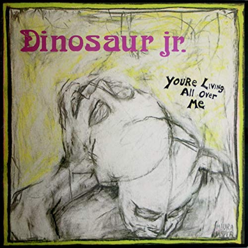 Dinosaur Jr. - You're Living All Over Me [VINYL]