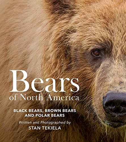 Bears of North America : Black Bears, Brown Bears, and Polar Bears