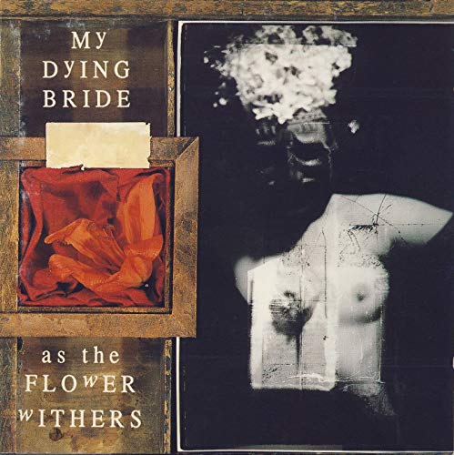 My Dying Bride - MY DYING BRIDE - AS THE FLOWER WITHERS (2 LP) [VINYL]