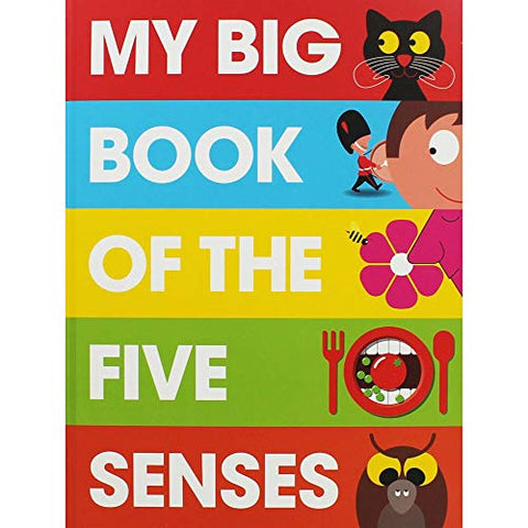 My Big Book of the Five Senses