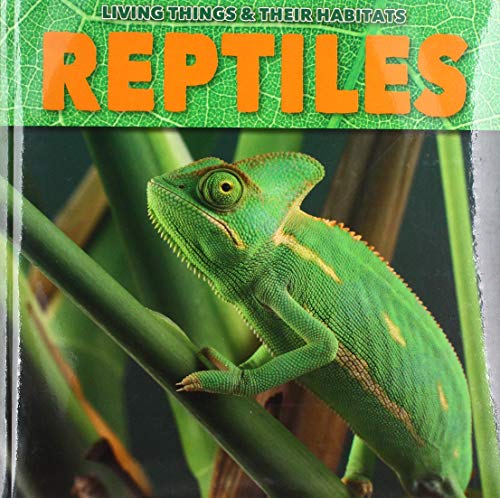 Book cover featuring a green chameleon on a leafy branch.