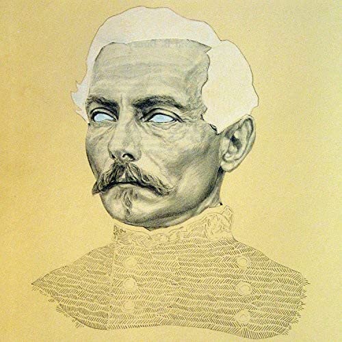 Rogue Wave - Delusions Of Grand Fur  [VINYL]
