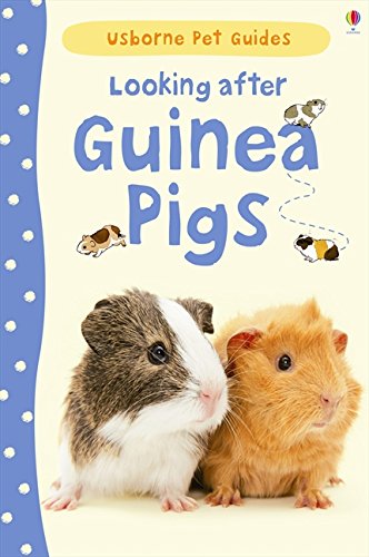 Looking After Guinea Pigs (Usborne Pet Guides)