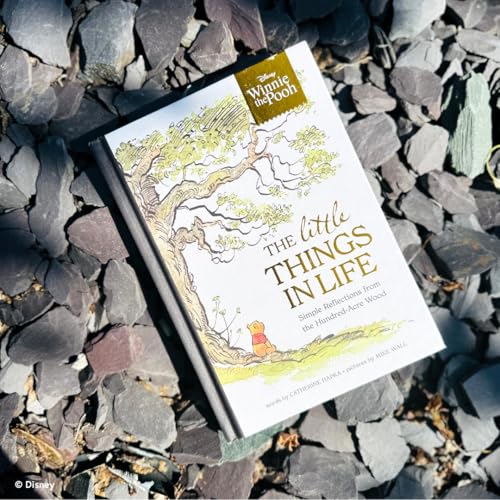 Disney Winnie the Pooh - The Little Things in Life : Simple reflections from the Hundred-Acre Wood