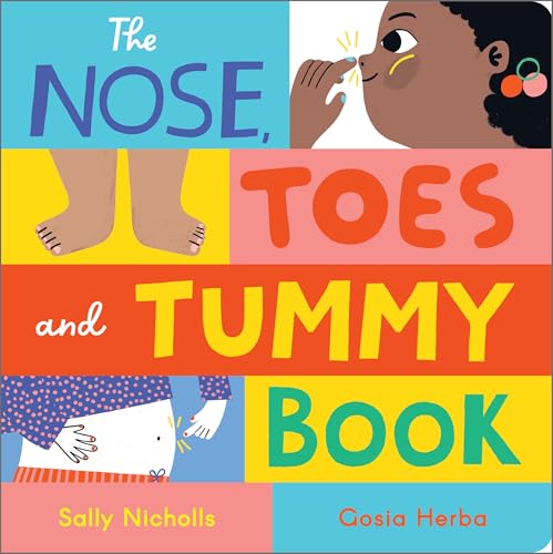 The Nose, Toes and Tummy Book : Board Book