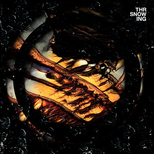 Throwing Snow - Dragons (Orange Marble Vinyl) [VINYL]