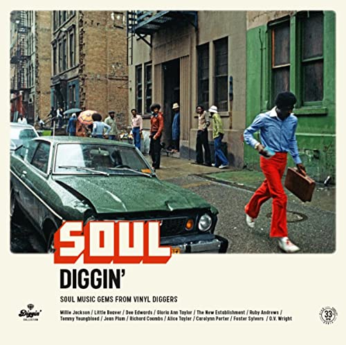 Various Artists - SOUL DIGGIN' - SOUL MUSIC GEMS FROM VINYL DIGGERS [VINYL]