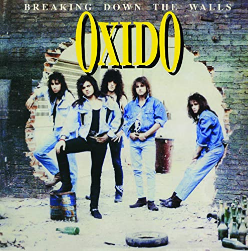 Various - Breaking Down The Walls [CD]
