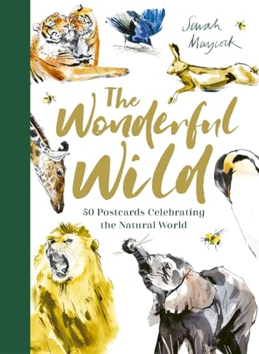 The Wonderful Wild : 50 Postcards Celebrating the Natural World