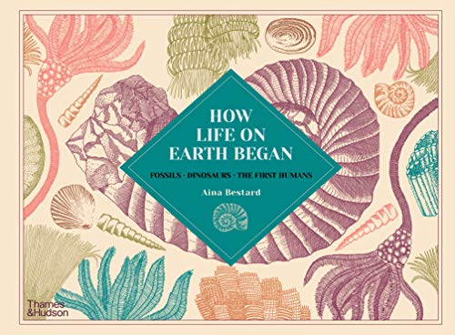 How Life on Earth Began: Fossils · Dinosaurs · The First Humans