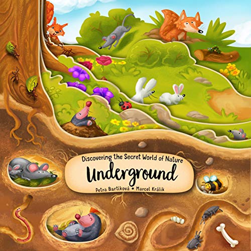 Discovering the Secret World of Nature Underground (Happy Fox Books) Exciting Board Book Takes Kids Ages 2 to 5 More Deeply into the Ground with Every ... plus Fun and Educational Facts (Peek Inside)