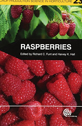 Raspberries