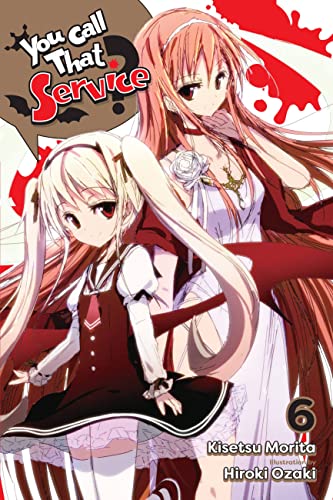 You Call That Service Light Novel Sc Vol 06 (C: 0-1-2)