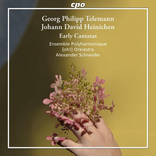 Ens Polyharmonique/schneider - Georg Philipp Telemann; Johann David Heinichen: Early Cantatas [CD]