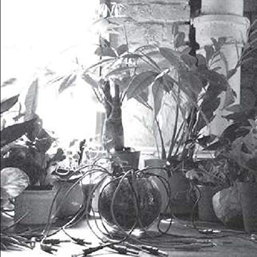 Singer - Mindreading [VINYL]