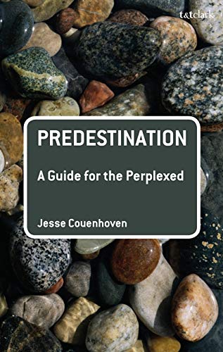 Predestination: A Guide for the Perplexed (Guides for the Perplexed)