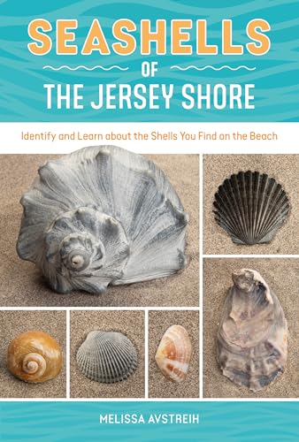 Seashells of the Jersey Shore : Identify and Learn about the Shells You Find on the Beach
