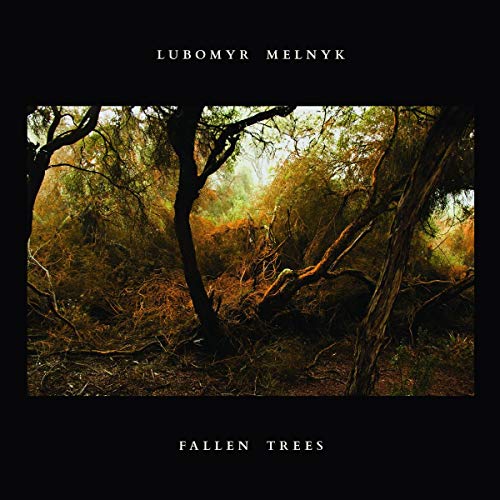 AlbumSymmetry albumL album cover featuring a dark forest with tangled, fallen trees and branches.