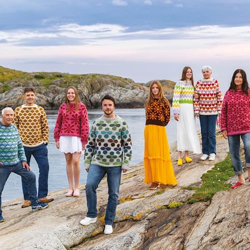 Knit Modern Scandi Sweaters : Knitting Patterns for Bright and Beautiful Nordic Knits