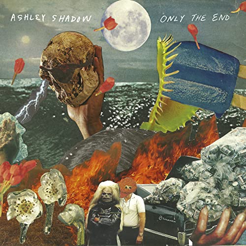 Ashley Shadow - Only The End [VINYL]