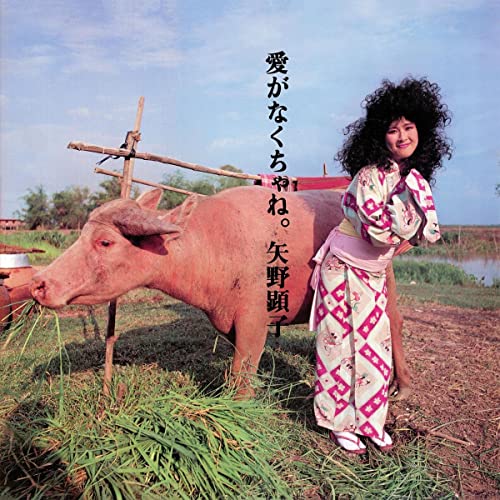 Woman in kimono with water buffalo in a rural field.
