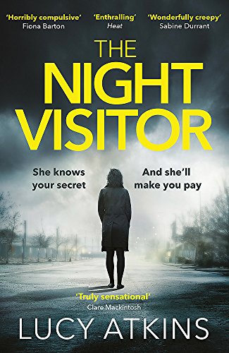 The Night Visitor: the gripping thriller from the author of Magpie Lane