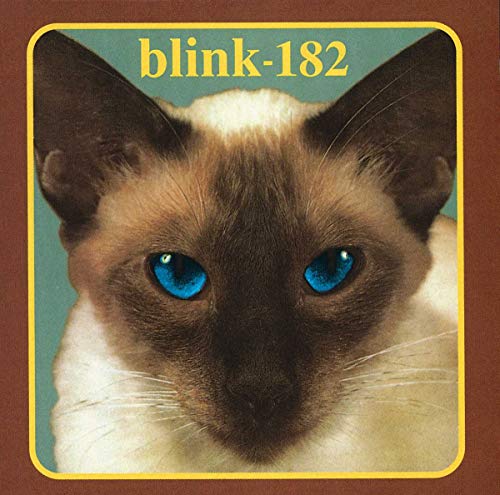 Blink-182 album cover featuring a close-up of a Siamese cat’s face.