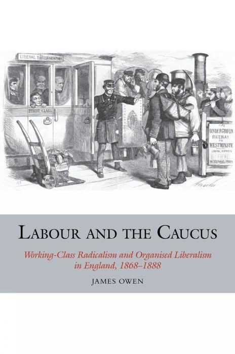 Labour and the Caucus : Working-Class Radicalism and Organised Liberalism in England, 1868–1888 : 3