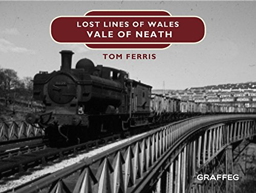 Vintage steam train on a metal bridge, book cover image.