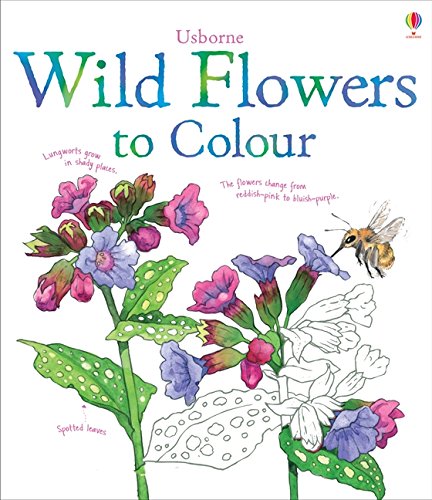 Wild Flowers to Colour (Nature Colouring Books)