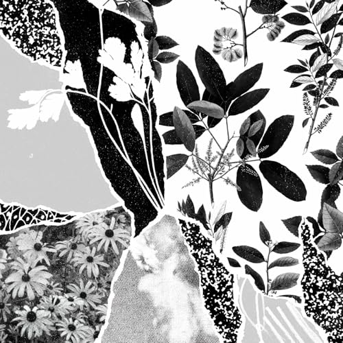 Various - Mon Herbier Du Monde Entier [VINYL]