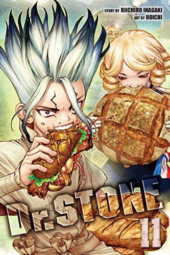 Dr. Stone Vol 11: Volume 11