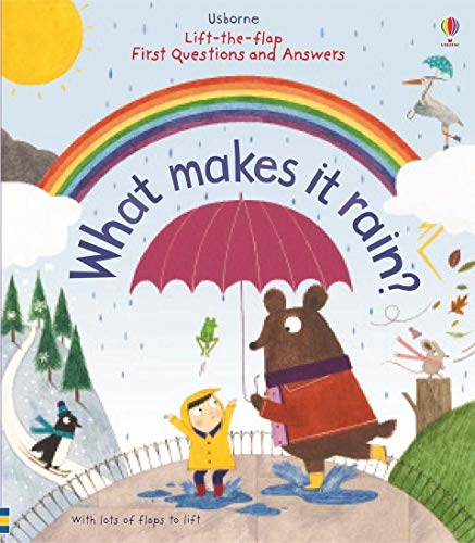 Children’s book cover with a rainbow, bear, and rain, asking “What makes it rain?”