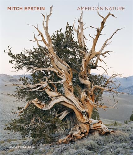 Mitch Epstein : American Nature