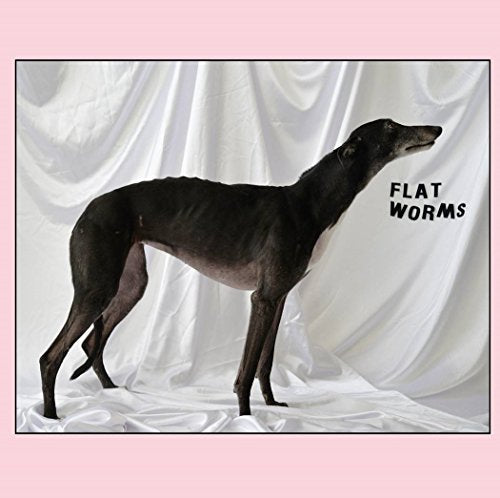 Various - Flat Worms [VINYL]