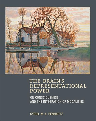 BRAINS REPRESENTATIONAL POWER