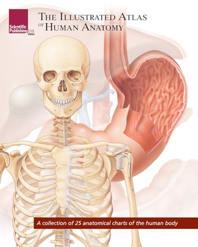 Illustrated Atlas of Human Anatomy