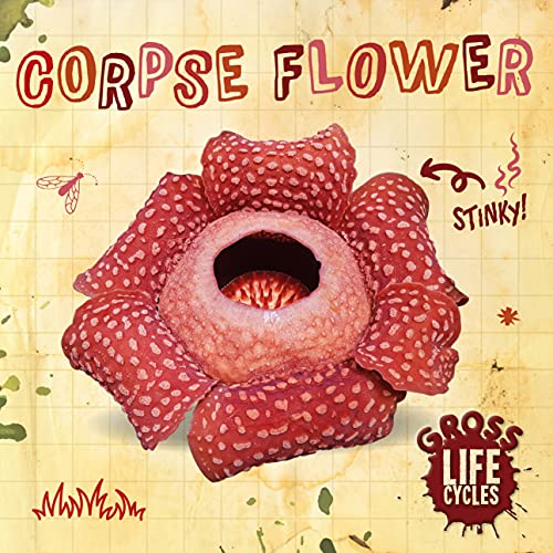 Corpse Flower (Gross Life Cycles)