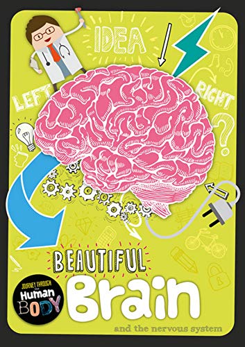 Beautiful Brain (Journey Through the Human Body)