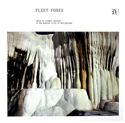 Foxes  Fleet - Crack-Up (Choral Version) / in  [VINYL]