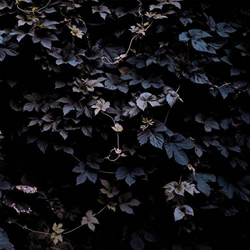 Michael Vallera - Vivid Flu [VINYL]