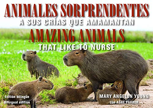 Animales Sorprendentes / Amazing Animals: Que Amamantan a Sus Crias / That Like to Nurse (English & Spanish Bilingual Edition) (Family and World Health)