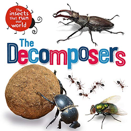 The Decomposers (The Insects that Run Our World)