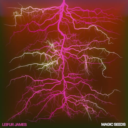 Leifur James - Magic Seeds [VINYL]