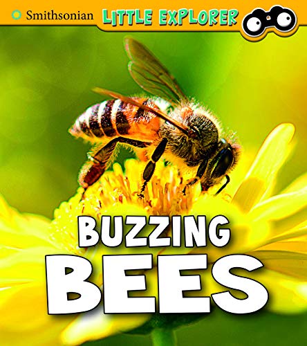 Insect Explorer: Buzzing Bees