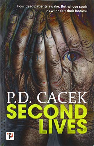Second Lives (Fiction Without Frontiers)