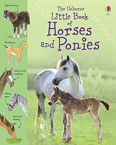 Little Book of Horses and Ponies (Usborne Little Books)