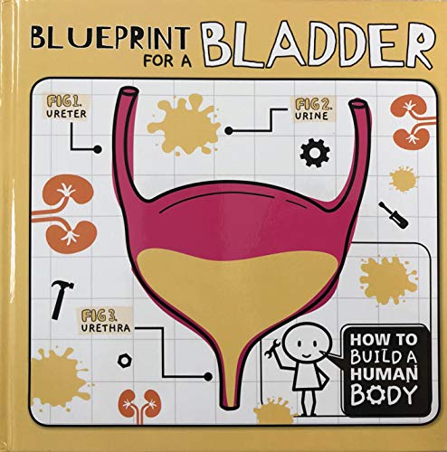 Blueprint for a Bladder (How to Build a Human Body)
