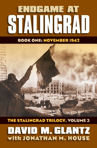 Book cover featuring a soldier raising a flag over a ruined city landscape.