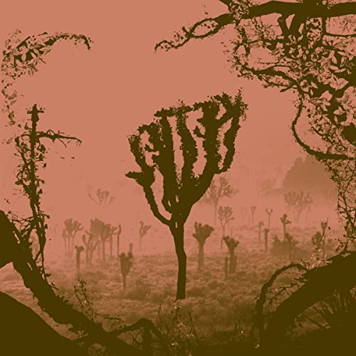 Kettel - MY DOGAN(15TH ANNIVERSARY EDITION) [VINYL]